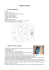 Notice de montage et d`utilisation en pdf