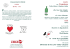 20h Projections