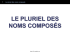 pluriel des noms composés