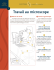 Laboratoire - Travail au microscope