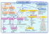 Mapa conceptual del Software Libre