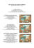 Cartes simplistes de l`Islam