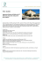 Property Details