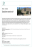 PRICE: 179,500&euro; Charming barn conversion with idyllic garden in