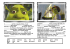 L`______ du film s`appelle Shrek. Il est