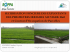 ETUDE SUR L`ELABORATION D`UN CONTRAT