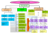 Organigramme du CFPEN 2010-2011