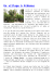 Un village à Athènes - Insider Publications
