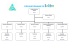 Modèle d`organigramme