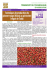 Techniques de production du piment rouge (Niora) au périmètre