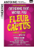 Dossier de Presse Fleur de Cactus