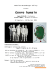 DP Genre Humain fr - Mathilde Hatzenberger Gallery