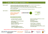 Infections Sexuellement Transmissibles (IST)