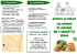 Prospectus explicatif - AMAP`île verte