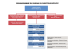 ORGANIGRAMME DU BUREAU DU DIRECTEUR EXÉCUTIF