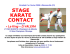 STAGE KARATE CONTACT