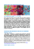 Les comptes-rendus des manifestations