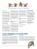 L`informateur du mois de décembre - École Sacré
