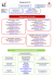 Organigramme IUT - IUT de Poitiers