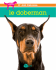 le doberman