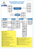 organigramme du ministere des sports et des loisirs